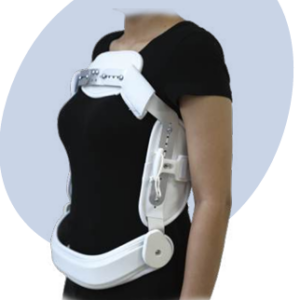 Corset de Jewett Importado con Caja a Color